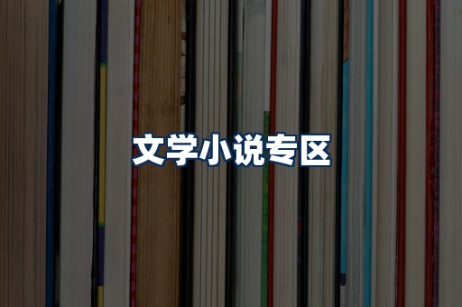 文学小说PDF展示